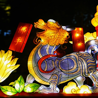 南通探险王国松鼠乐园