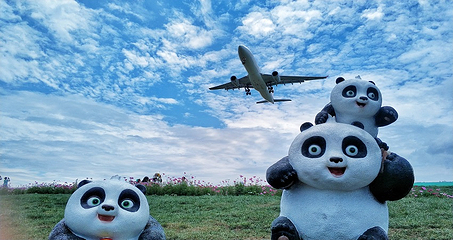空港花田第 6 张图片