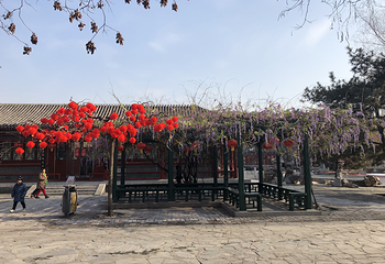 北京大观园第 33 张图片