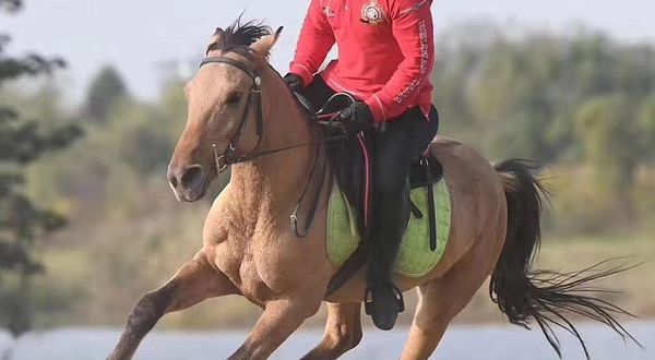 御马轩马术俱乐部