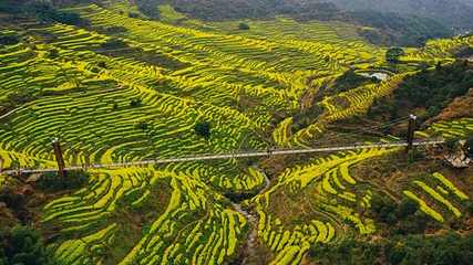 婺源篁岭景区第 295 张图片