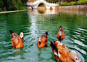 泉寿湾（贾浪沟）旅游景区