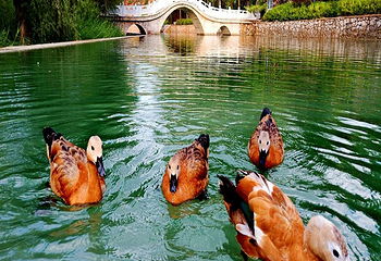 泉寿湾（贾浪沟）旅游景区第 1 张图片