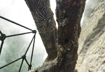 灵通风景区第 12 张图片