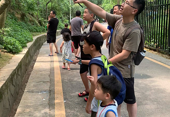 黔灵山公园第 38 张图片