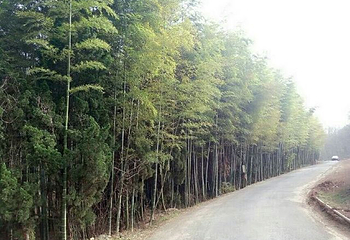 鹿门山景区第 20 张图片