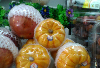 衡阳市南湖景区第 11 张图片