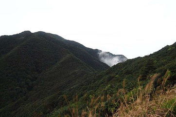 新丰江国家森林公园桂山风景区第 60 张图片