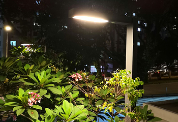 仙桥夜月第 2 张图片