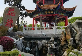 东湖牡丹园第 20 张图片