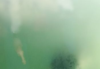 大明湖海底世界第 37 张图片