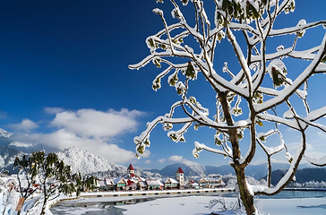 西岭雪山（滑雪场景区）第 7 张图片