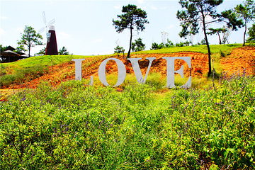 福容薰衣草花园第 22 张图片