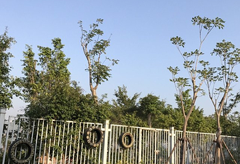 风和水航海会第 5 张图片