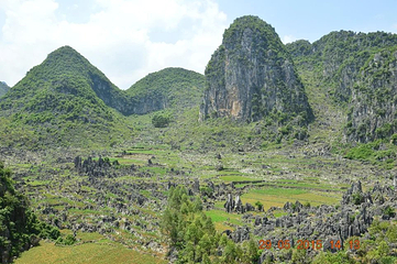 泥凼石林风景区第 11 张图片