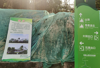 皂幕山旅游风景区第 9 张图片