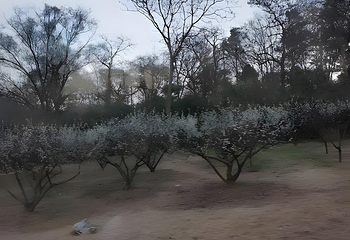 南京总统府第 42 张图片