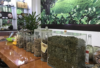 西双版纳南药园景区第 17 张图片