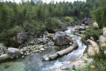漓江源大峡谷第 43 张图片
