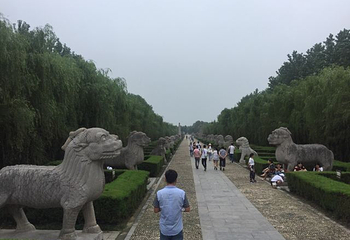 明皇陵第 43 张图片