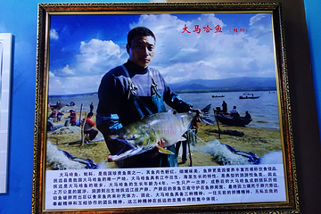 北大荒鱼展馆第 15 张图片