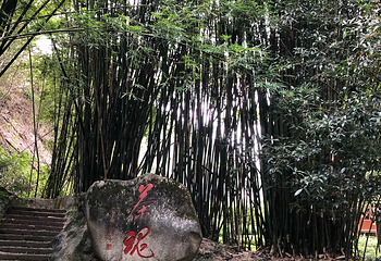武夷山国家公园第 223 张图片