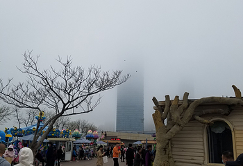 旅顺博物馆第 19 张图片