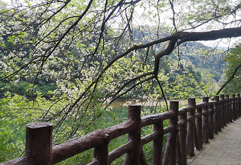 石门国家森林公园第 52 张图片