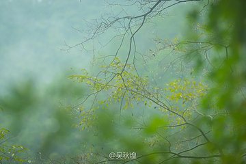 阳元山第 6 张图片