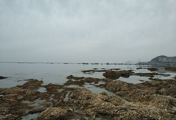 塔河湾·欢乐海岸第 22 张图片