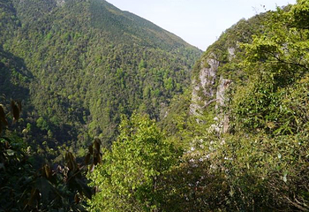 龙潭景区第 21 张图片