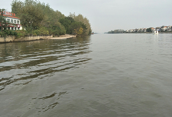 洪湖生态旅游区第 20 张图片