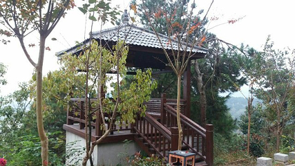 花乡茶谷旅游景区第 60 张图片