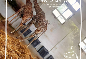 重庆动物园第 218 张图片