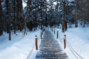 长白山高原冰雪运动训练基地第 4 张图片