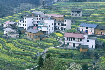 古田山自然保护区第 15 张图片
