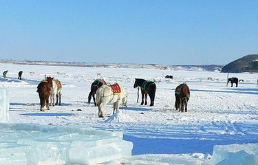 二龙山滑雪场第 6 张图片