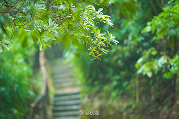 阳元山第 8 张图片