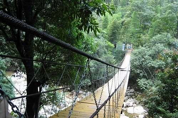 石山园第 4 张图片