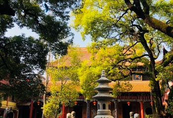 佑民寺第 24 张图片
