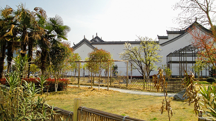 江湾景区第 50 张图片