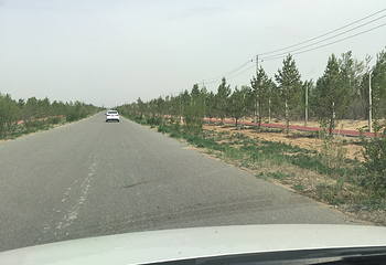 恩格贝生态旅游区第 27 张图片