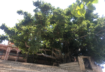 集美大学第 13 张图片