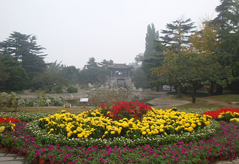 国家植物园南园第 25 张图片