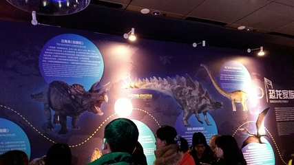 太空嘉年华环球之旅第 7 张图片