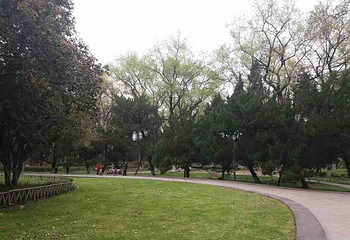 西山森林公园第 11 张图片
