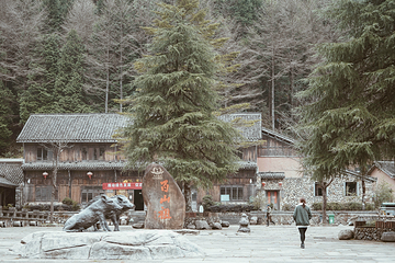 百山祖景区第 19 张图片