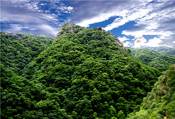 五龙山第 8 张图片