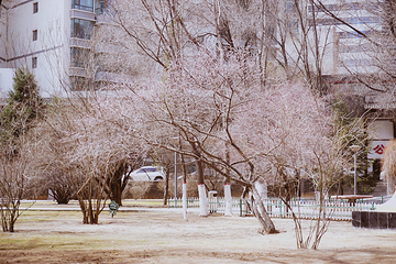 西宁市人民公园第 28 张图片