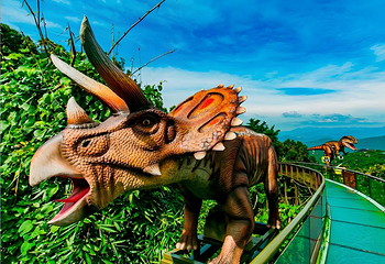 亚龙湾热带天堂森林公园第 26 张图片